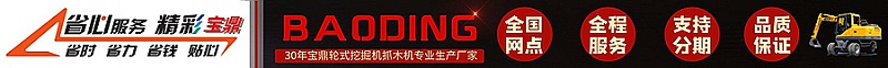 寶鼎輪式挖掘機(jī)抓木機(jī)廠家